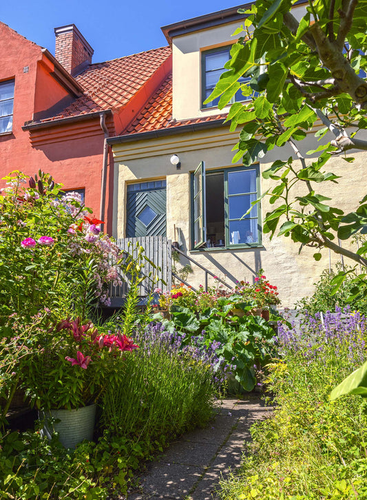 FLOWER GARDEN IN LANDSKRONA / SKÅNE / SWEDEN