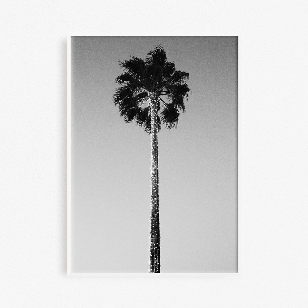 The Palm Tree, Art Print Small