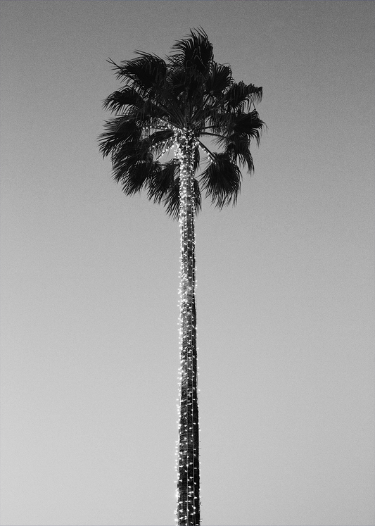 The Palm Tree, Art Print Small